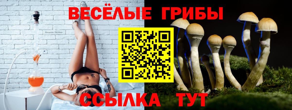 Псилоцибиновые грибы Psilocybine cubensis Сальск