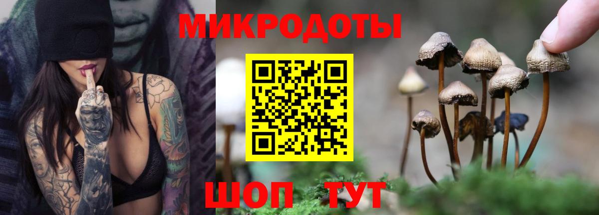 Галлюциногенные грибы прущие грибы  Псилоцибиновые грибы MAGIC MUSHROOMS  Сальск  Вход с VPN 
