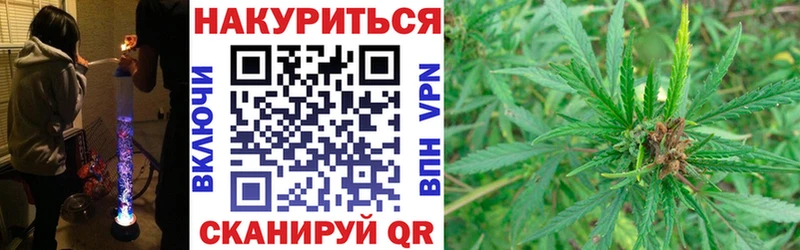 Шишки марихуана сатива  даркнет сайт  Сальск 